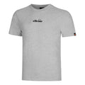 gris clair_5693