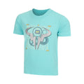 turquoise_5808