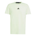 D4T T-shirt Heren - lichtgroen,