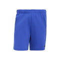 bleu_5727