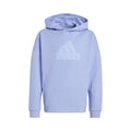 Future Icon Logo Sweat à capuche Garçons - bleu clair,