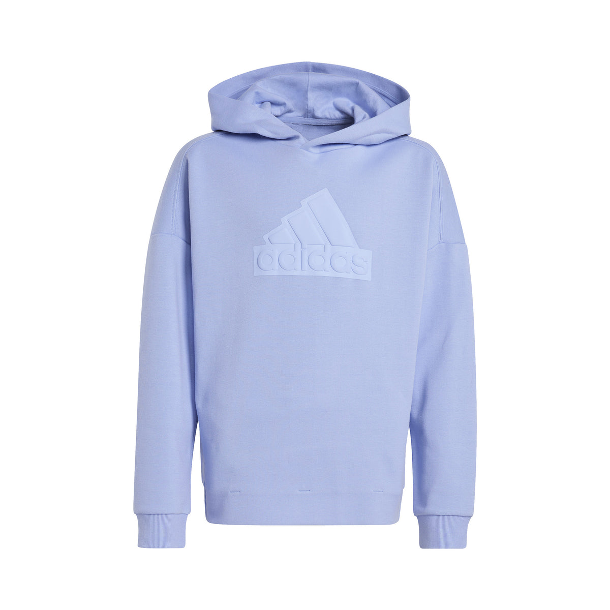 adidas Future Icon Logo Sweat à capuche Garçons - bleu clair,