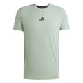 D4T T-shirt Heren - salie,