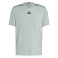 D4T Intensity T-shirt Hommes - sauge,