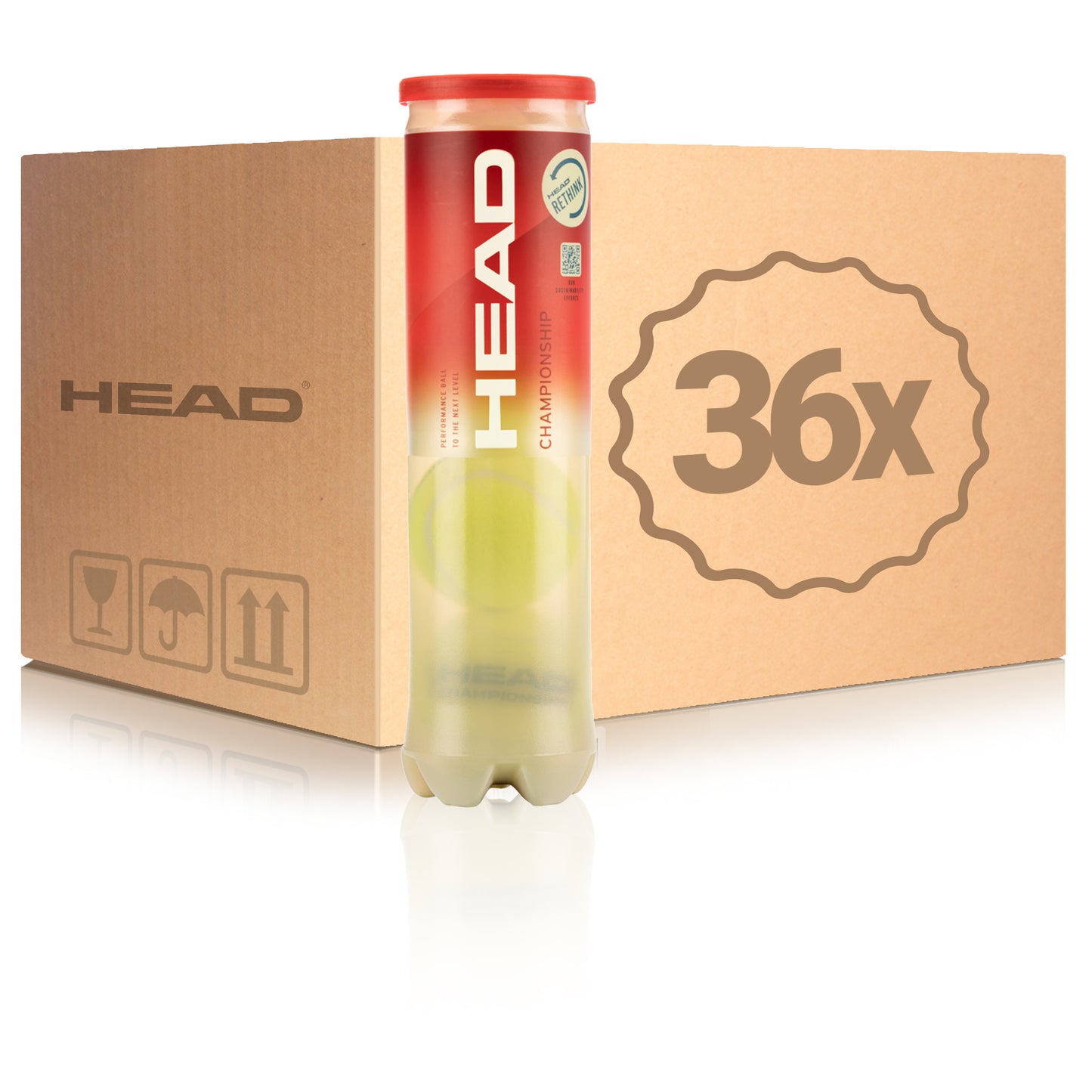 HEAD 36 Tubes de 4 Championship En carton