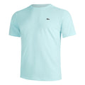 Core T-shirt Hommes - mint,