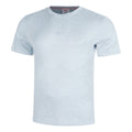 Everyday Performance T-shirt Hommes-bleu gris