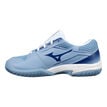 Mizuno