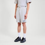 Ellesse Kleding Ellesse Trevor Shorts Heren-Grijs