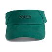 DSSLR