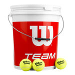 Wilson Tennisballen Wilson Team W Trainer Emmer 72 Stuks Special Edition