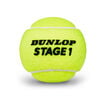 Dunlop