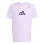 adidas Kleding adidas Category Graphic T-shirt Heren-Paars,Zwart