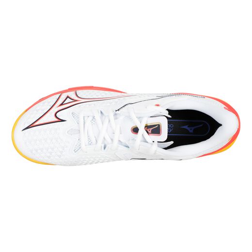 Mizuno