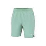 Tecnifibre Shorts Tecnifibre TEAM STRETCH SHORT WHITE Shorts Heren-salie
