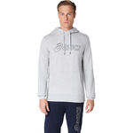 ASICS Kleding ASICS Logo Oth Sweater Met Capuchon Heren-Lichtgrijs