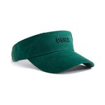 DSSLR Visor