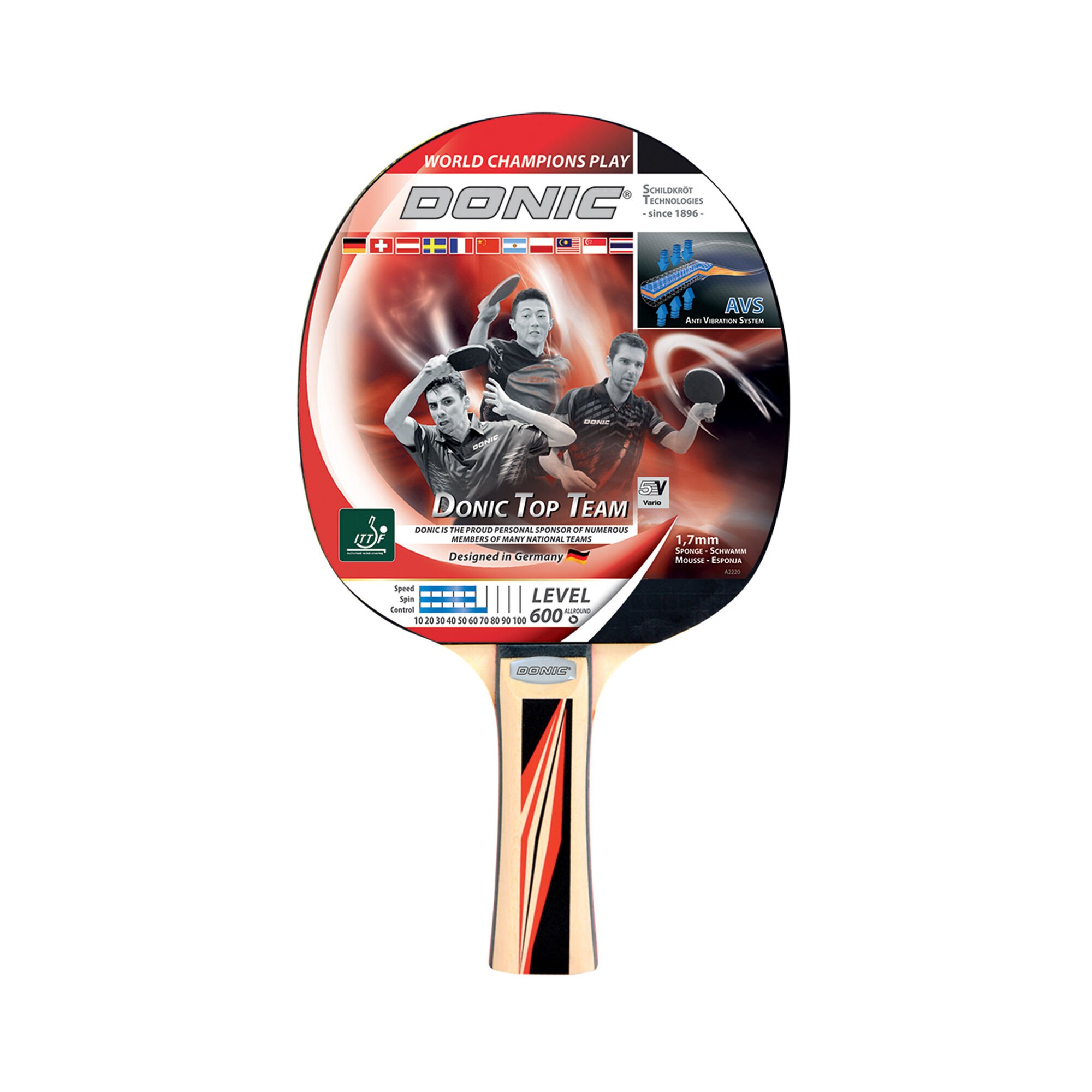 Schildkr&ouml;t Fitness