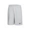 Dri-Fit Shorts