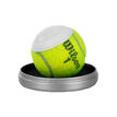 Wilson