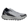 Terrex Agravic GTX Trailschoen Heren-grijs, wit