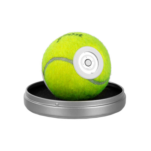 Wilson