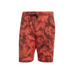 adidas PARIS 2N1 SHORT