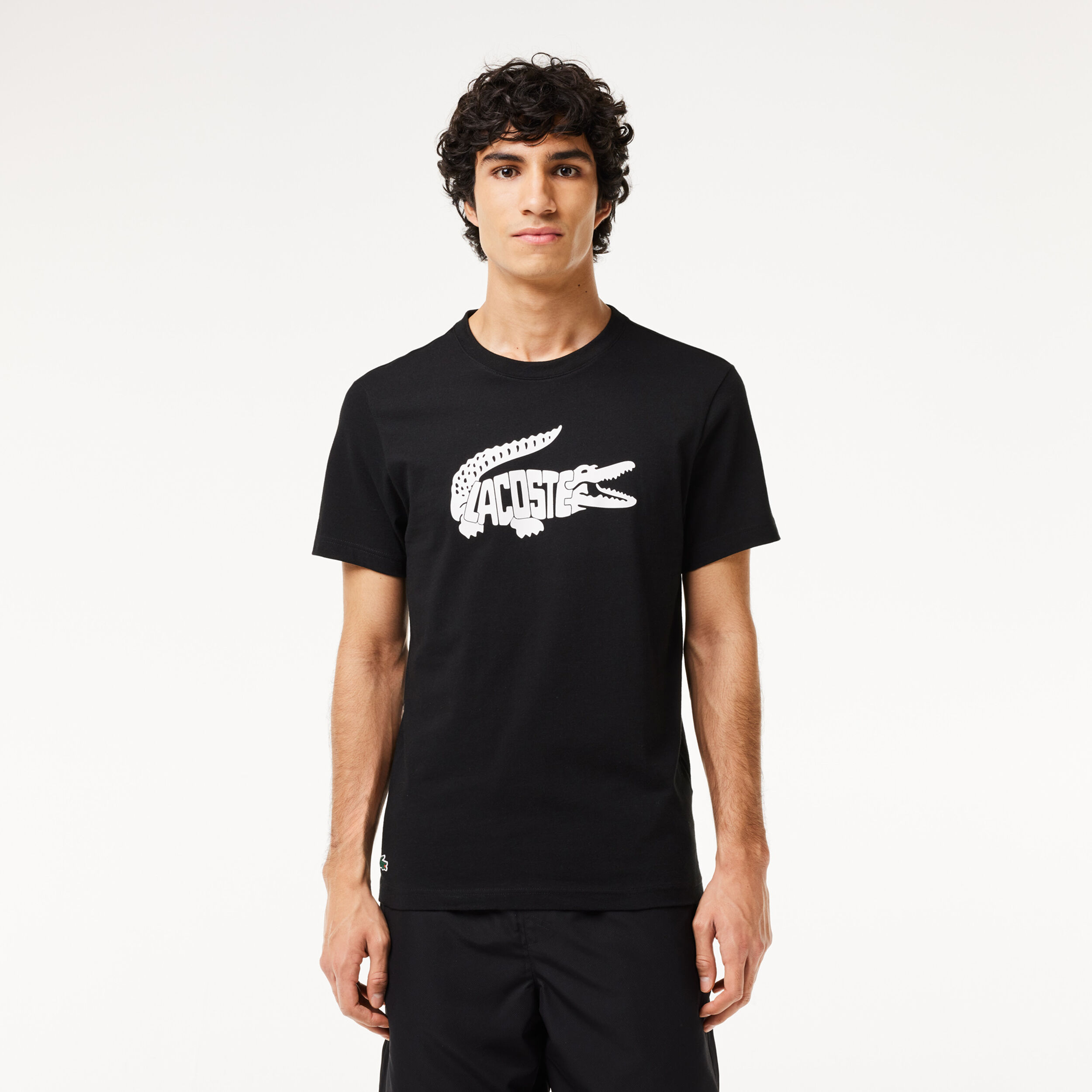 Buy Lacoste T shirt Heren Zwart Wit online Tennis Point BE