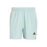 D4T Essentials Shorts Heren-mint