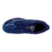 Mizuno