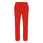 BIDI BADU Kleding BIDI BADU Flinn ÖTV Tech Trainingsbroek Heren-Rood