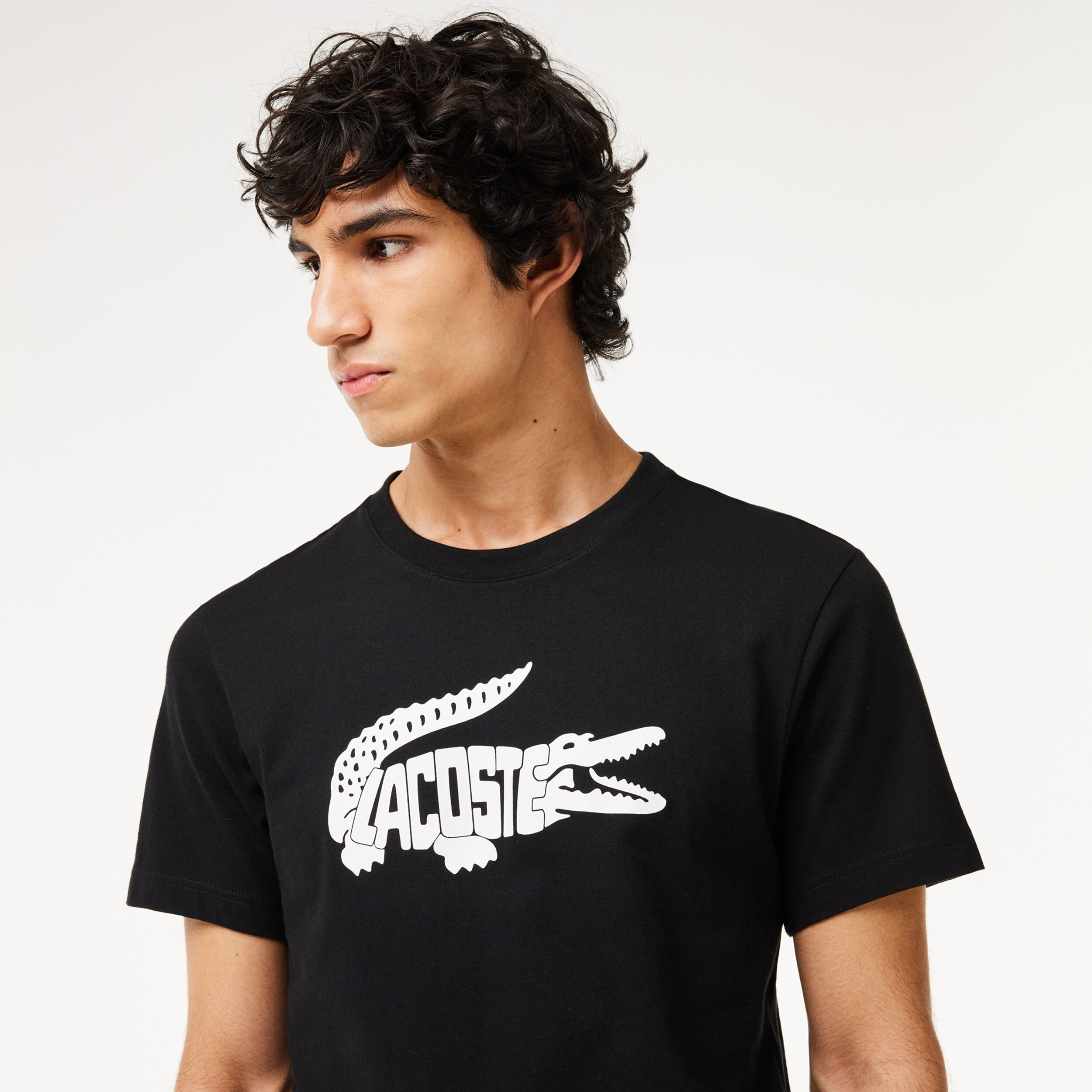 Buy Lacoste T shirt Heren Zwart Wit online Tennis Point BE