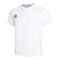 Kadiri Tee